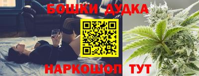 spice Обь