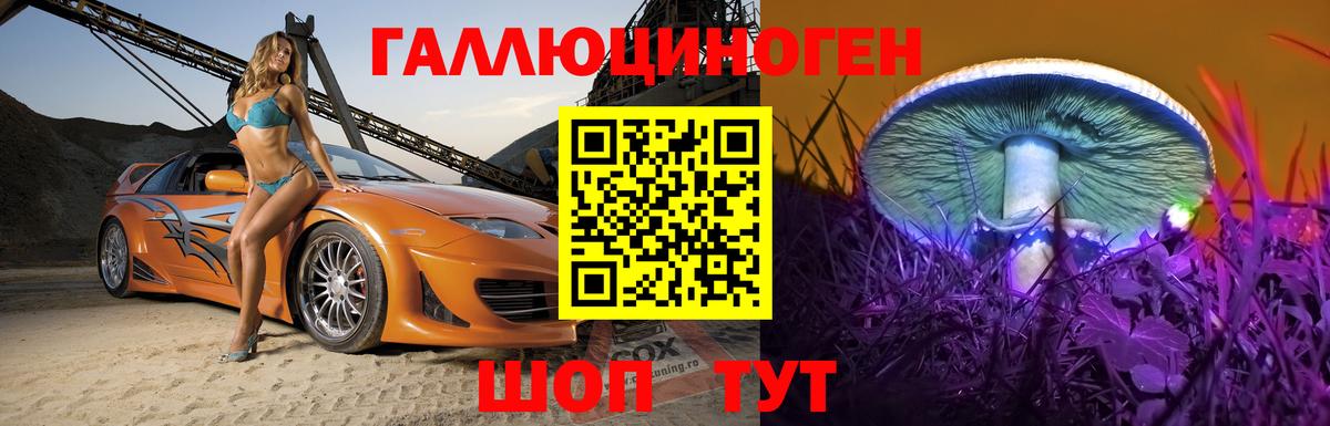Галлюциногенные грибы Cubensis Севастополь